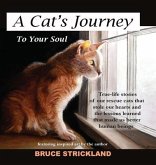 A Cat's Journey To Your Soul