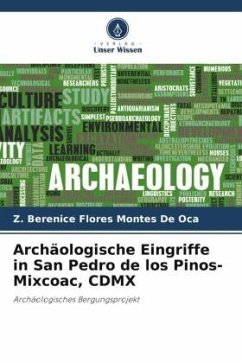 Archäologische Eingriffe in San Pedro de los Pinos-Mixcoac, CDMX - Flores Montes de Oca, Z. Berenice