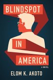 Blindspot in America (eBook, ePUB)