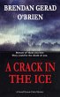 A Crack in the Ice (eBook, ePUB) - Bild 1