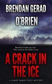 A Crack in the Ice (eBook, ePUB)