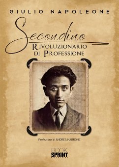 Secondino - Rivoluzionario di professione (eBook, ePUB) - Napoleone, Giulio