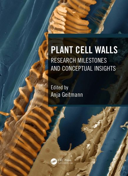 Plant Cell Walls (eBook, PDF)