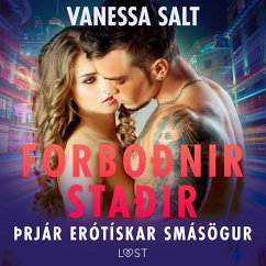 Forboðnir staðir – þrjár erótískar smásögur (MP3-Download) - Salt, Vanessa