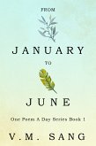 From January to June (eBook, ePUB)