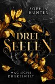 DREI SEELEN (eBook, ePUB)
