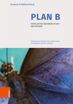Cover Plan B (eBook, PDF)