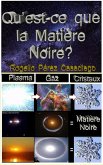 Qu'est-ce que la matière noire ? (eBook, ePUB)