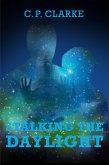 Stalking The Daylight (eBook, ePUB)