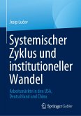 Systemischer Zyklus und institutioneller Wandel (eBook, PDF)