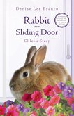 Rabbit at the Sliding Door
