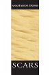 Scars - Bild 1