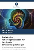 Analytische Näherungsmethoden für fraktionale Differentialgleichungen