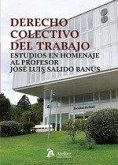 Derecho colectivo del trabajo Derecho colectivo del trabajo