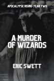 A Murder of Wizards A Murder of Wizards