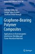 Graphene-Bearing Polymer Composites - Bild 1