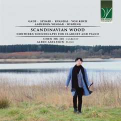 Scandinavian Wood: Northern Soundscapes For Clarin - Hu Jie,Chen/Axelsson,Albin