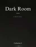 Dark Room (eBook, ePUB)