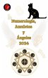 Numerología, Amuletos y Ángeles 2024... - Bild 1
