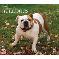 BULLDOGS THE BEAUTY OF 2024 DELUXE STKR