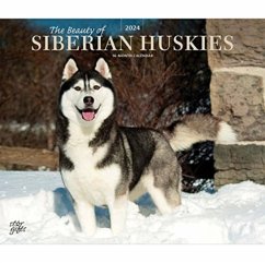 SIBERIAN HUSKIES THE BEAUTY OF 2024 DELU