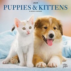 PUPPIES KITTENS 2024 SQUARE STKR STARGIF