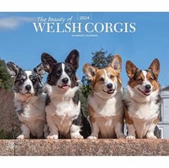 WELSH CORGIS THE BEAUTY OF 2024 DELUXE S