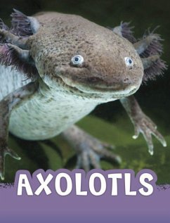 Cover Axolotls
