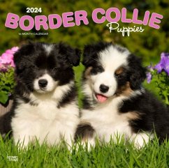 Cover BORDER COLLIE PUPPIES 2024 SQUARE