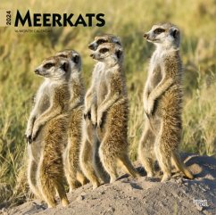 MEERKATS 2024 SQUARE