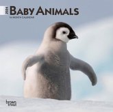 BABY ANIMALS 2024 MINI 7X7 BABY ANIMALS 2024 MINI 7X7