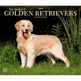 GOLDEN RETRIEVERS THE BEAUTY OF 2024 DEL GOLDEN RETRIEVERS THE BEAUTY OF 2024 DEL