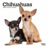 CHIHUAHUAS 2024 MINI 7X7 CHIHUAHUAS 2024 MINI 7X7
