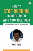 How to Stop Burning 1 Crore+Profit with Your Rice Husk