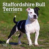 STAFFORDSHIRE BULL TERRIERS 2024 MINI 7X STAFFORDSHIRE BULL TERRIERS 2024 MINI 7X