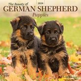 GERMAN SHEPHERD PUPPIES THE BEAUTY OF 20 GERMAN SHEPHERD PUPPIES THE BEAUTY OF 20