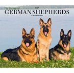 GERMAN SHEPHERDS THE BEAUTY OF 2024 DELU