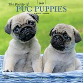 PUG PUPPIES THE BEAUTY OF 2024 SQUARE ST PUG PUPPIES THE BEAUTY OF 2024 SQUARE ST