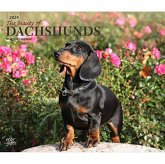 DACHSHUNDS THE BEAUTY OF 2024 DELUXE STK DACHSHUNDS THE BEAUTY OF 2024 DELUXE STK