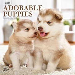 ADORABLE PUPPIES 2024 SQUARE STKR STARGI