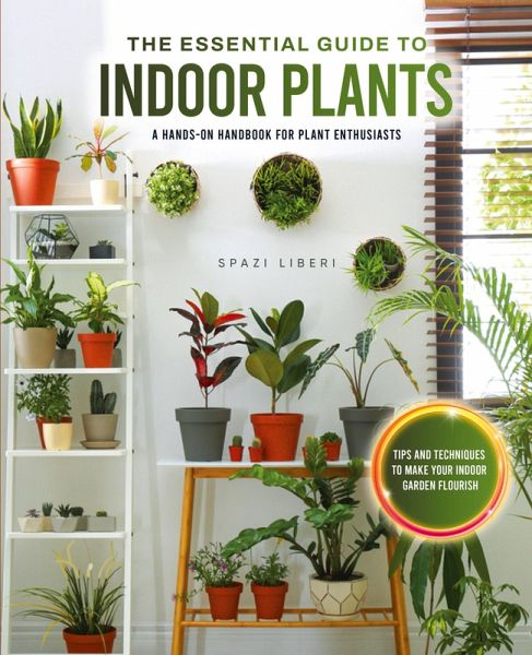 The Essential Guide to Indoor Plants