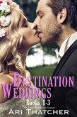 Destination Weddings (eBook, ePUB)