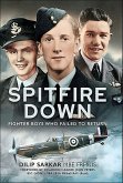 Spitfire Down (eBook, ePUB)