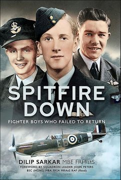 Cover Spitfire Down (eBook, ePUB)