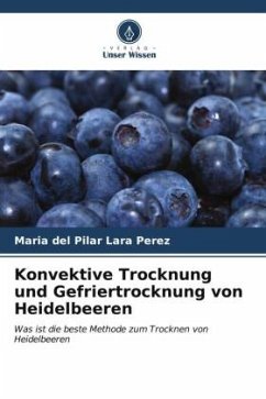 Konvektive Trocknung und Gefriertrocknung von Heidelbeeren - Lara Pérez, María del Pilar