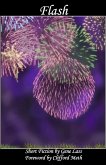 Flash (KSquare) (eBook, ePUB)