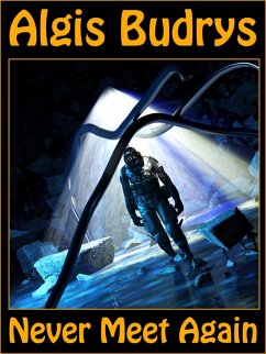 Never Meet Again (eBook, ePUB) Never Meet Again (eBook, ePUB)