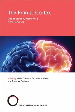 The Frontal Cortex (eBook, ePUB)