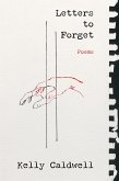 Letters to Forget (eBook, ePUB)