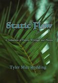 Static Flow (eBook, ePUB)